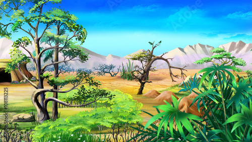 African Native Plants. Day View