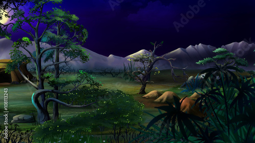 African Native Plants. Night View