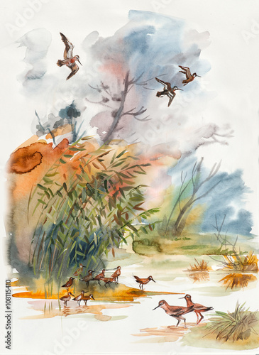 Autumn landscape. Sandpipers go on water. Migratory birds get ready for a trip. Forest inhabitants. Watercolor hand drawn illustration