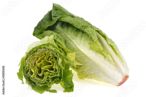 Billede på lærred Cœurs de salade romaine