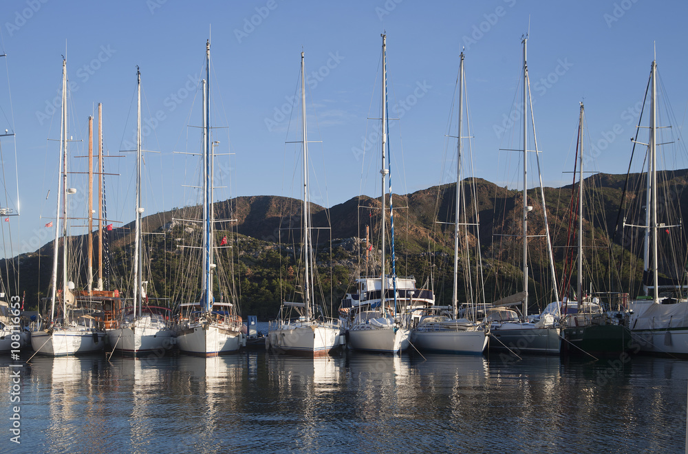 Yachts in a harbor