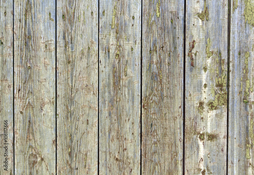 Wallpaper Mural Old weathered gray wooden hangar texture. Torontodigital.ca