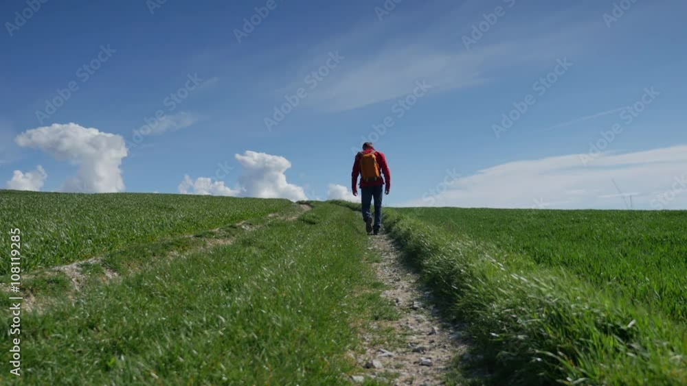 homme marchant dans la campagne homme marchant dans la campagne