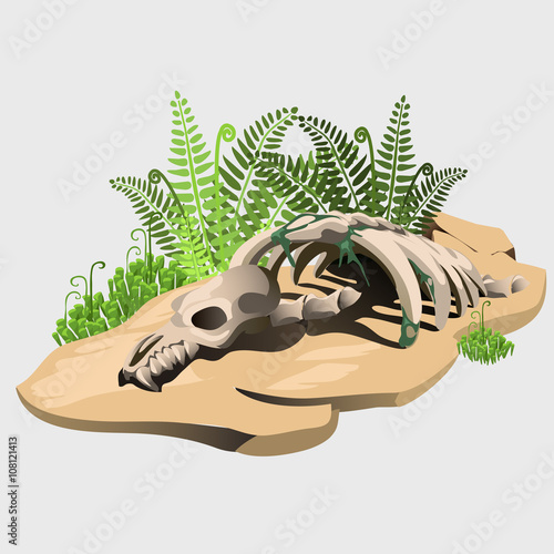 Fossil skeleton of an ancient animal on stone 