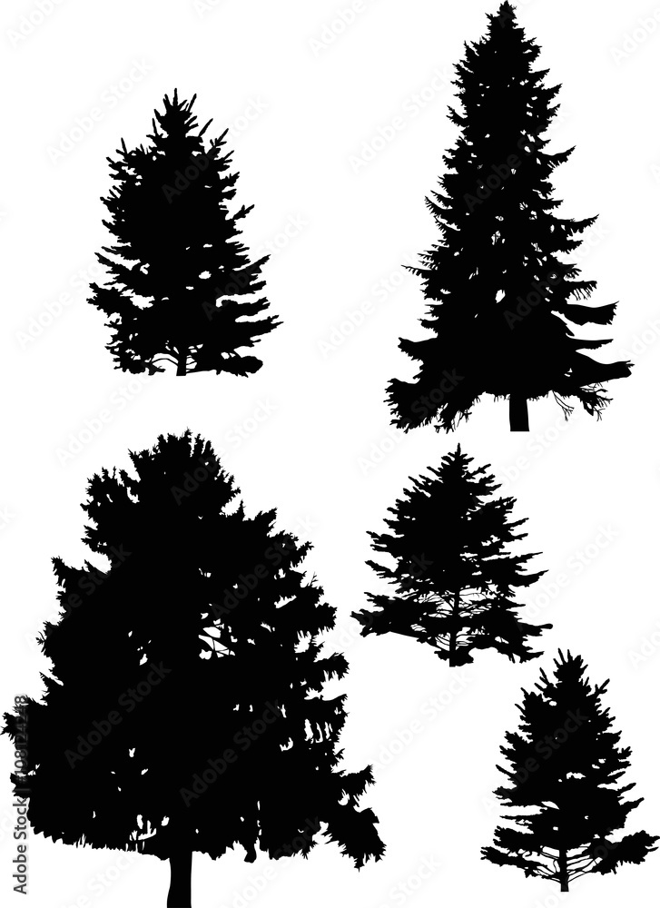 Fototapeta premium five fir tree silhouettes isolated on white
