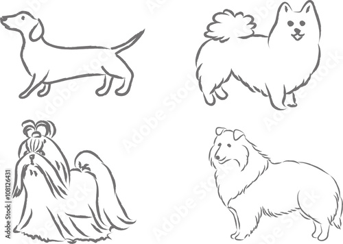 4 dog breeds