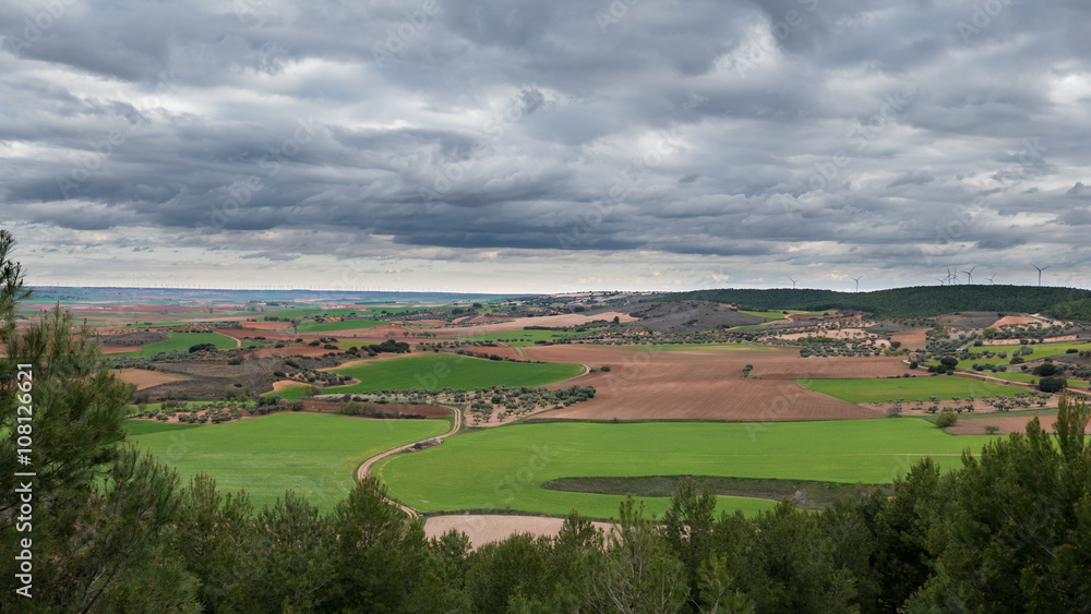 Green cultivated fields against cloudy sky Green cultivated fields against cloudy sky
