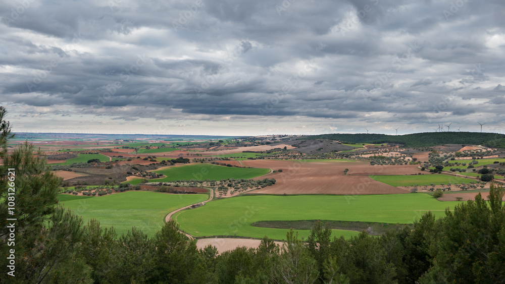 Green cultivated fields against cloudy sky