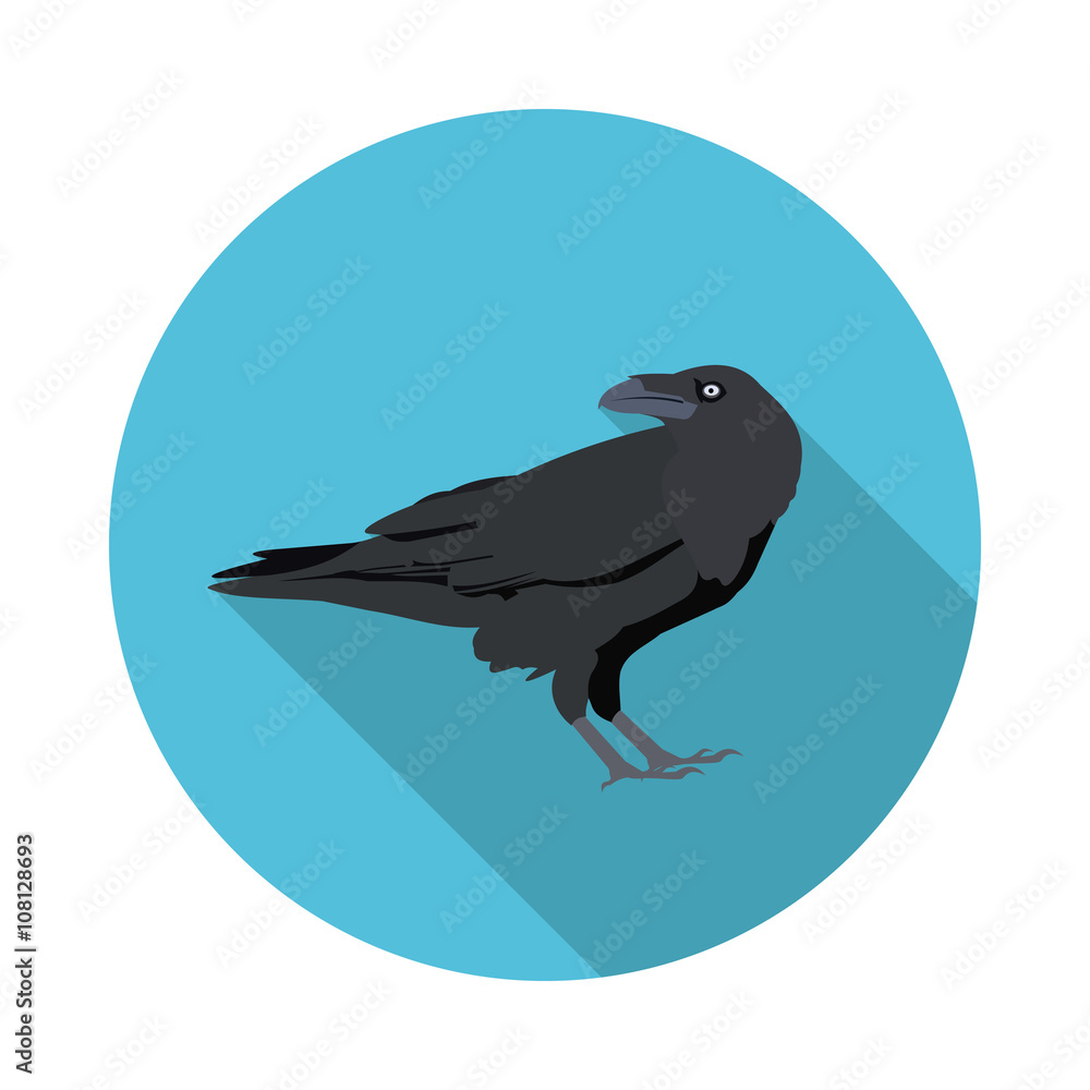 Fototapeta premium flat icon Raven