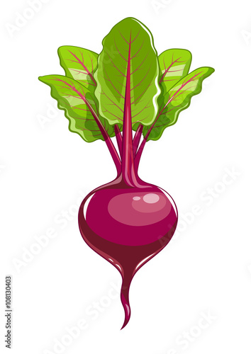 Fresh beet with leaf