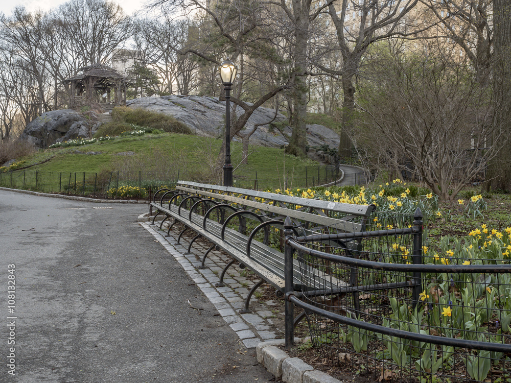 Central Park, New York City