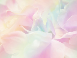 Flower background 38
