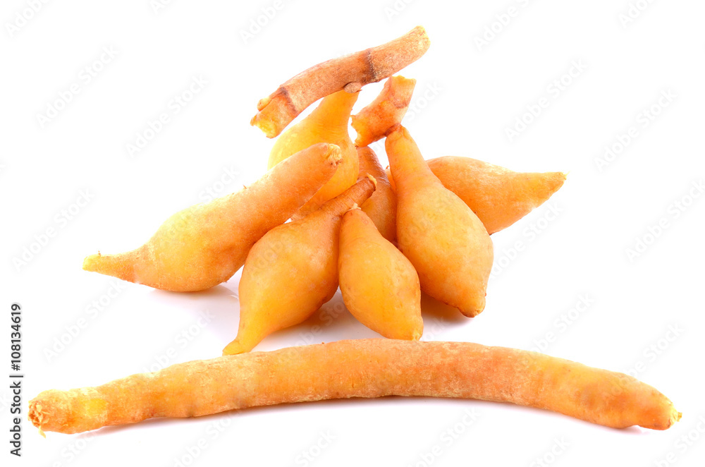 Fingerroot on white background Fingerroot on white background