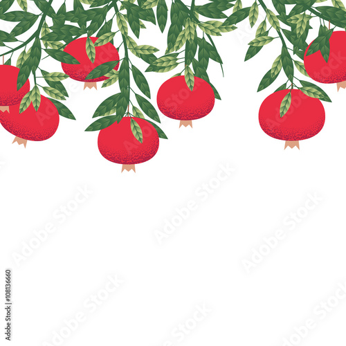Ripe pomegranate fruit on tree with leaves