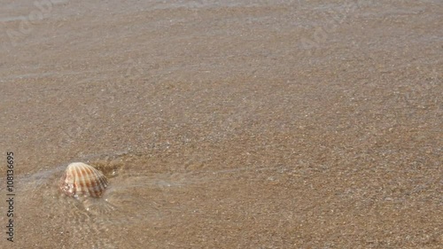 Seashell on the beach and waves 4K 2160p 30fps UltraHD footage - Waves moving sea shell from the oceans beach 4K 3840X2160 UHD video 