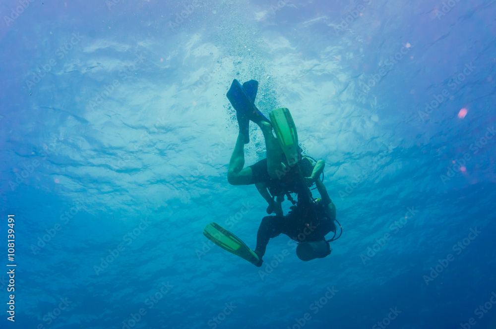 Scuba Divers swimming over the live coral reef Scuba Divers swimming over the live coral reef