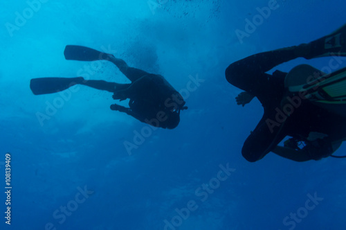 Scuba Divers swimming over the live coral reef