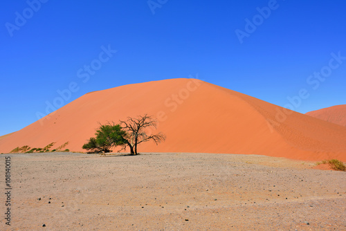Sossusvlei Namibia Africa