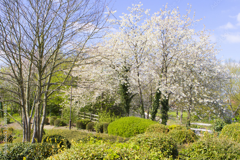Spring in Milton Keynes, England