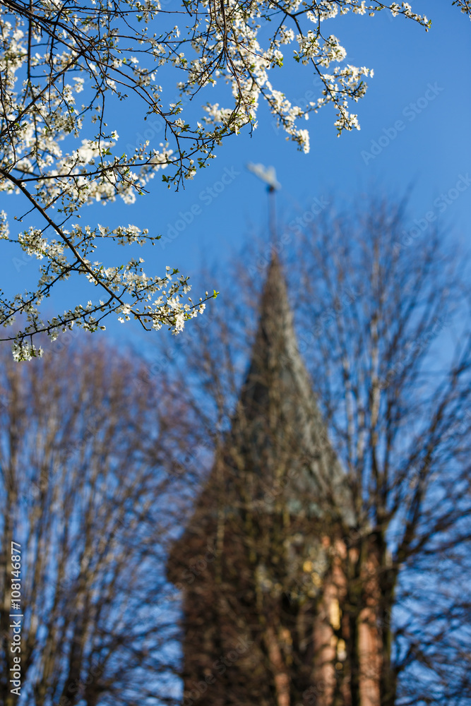 Spring in a city