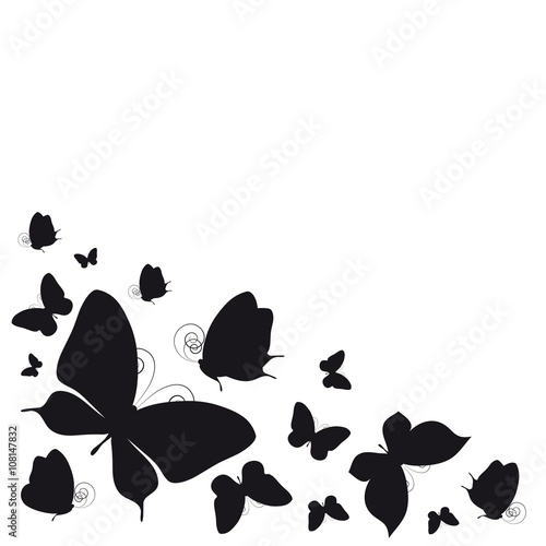 butterflies design