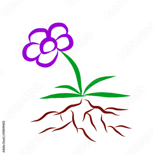 Illustration of a flower