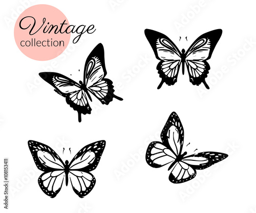 Set of four black and white butterflies silhouette with open wings isolated.