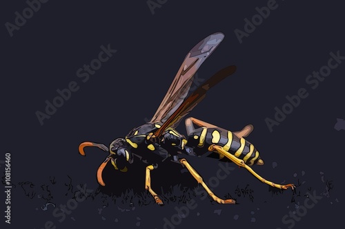 Closeup of a wasp