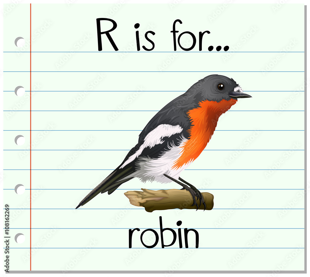 Robin R Sign Flashcard letter R is for robin Stock Vector | Adobe Stock