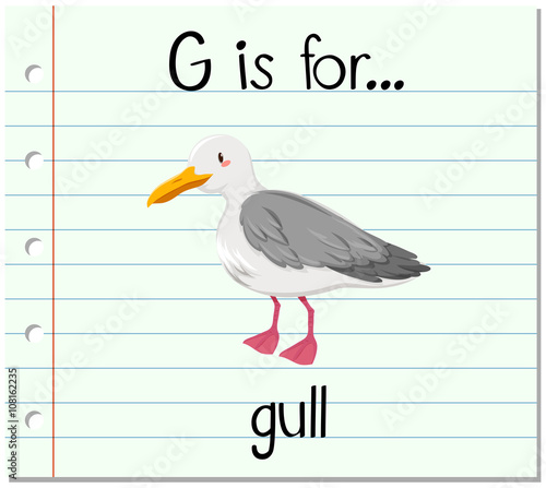 Flashcard letter G is for gull