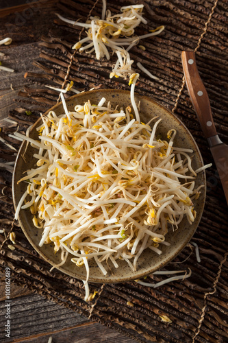 Raw Healthy White Bean Sprouts