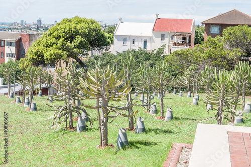 Garden of Remembrance in Donkin Reserve