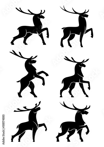 Wild bull elks or deers black silhouettes