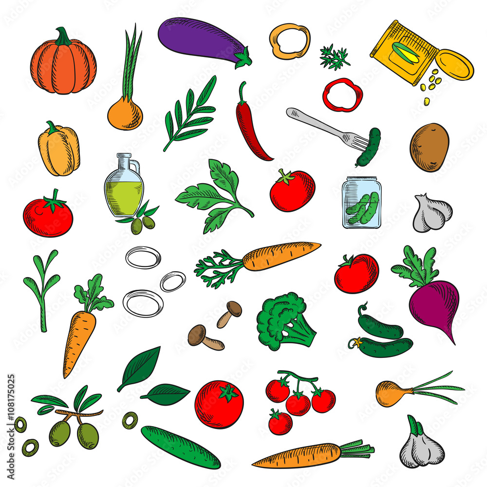 Fototapeta premium Fresh and pickled vegetables with herbs sketch