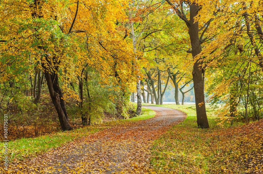 Spaziergang im Herbst, buntes Herbstlaub auf gewundenem Weg, farbenfrohe Herbstlandschaft, Parklandschaft, Sonntagsspaziergang in der Natur, Entspannung, Erholung