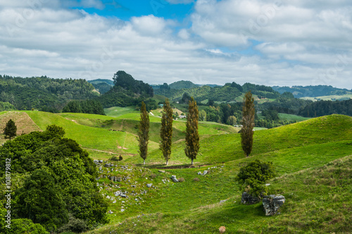 Waitomo Valley in Waikato, New Zealand