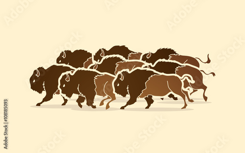 Group of buffalo running graphic vector