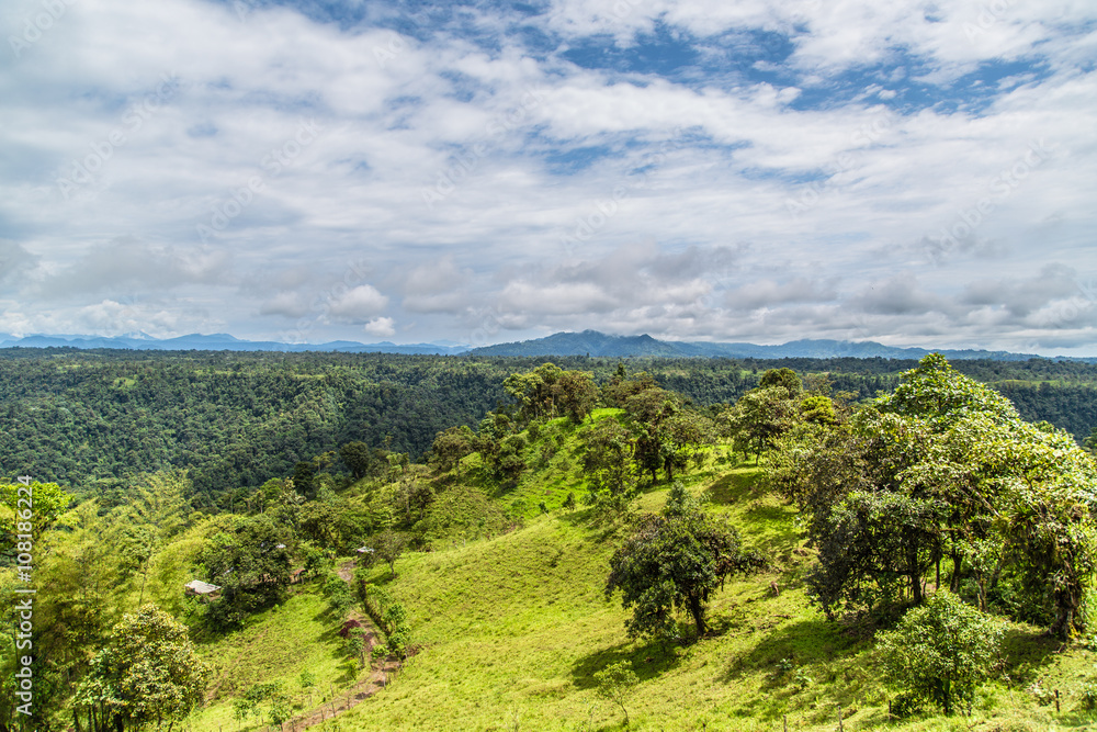 Obraz premium Mountain pasture land and mountain rainforest, Ecuador west of the Andes