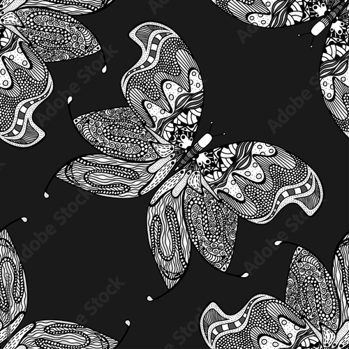 Butterfly seamless pattern photo