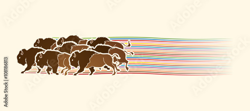 Group of buffalo running designed on line rainbows movement graphic vector