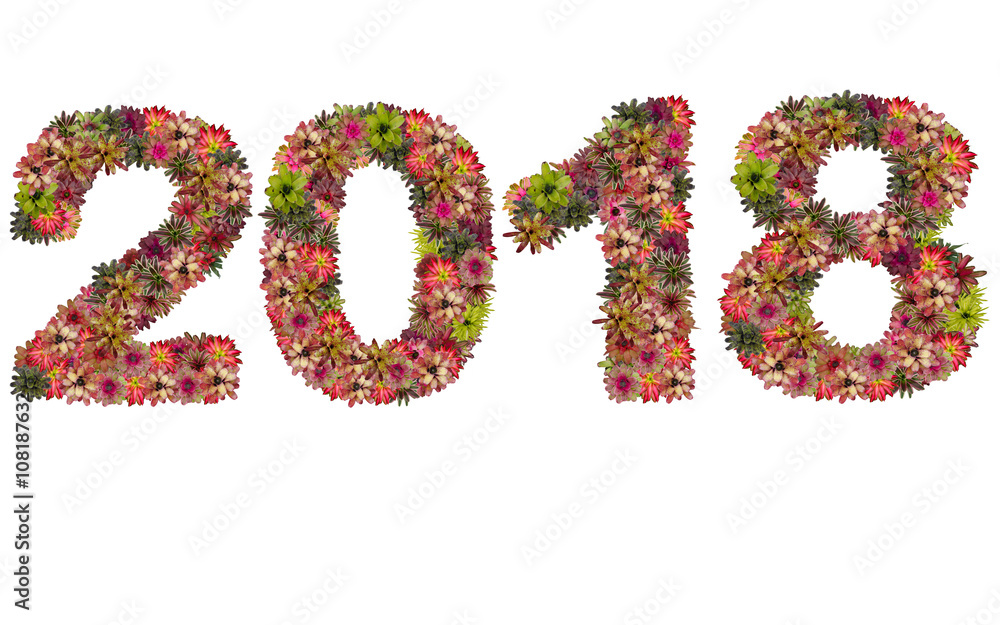 New year 2018 made from bromeliad flowers isolated on white back