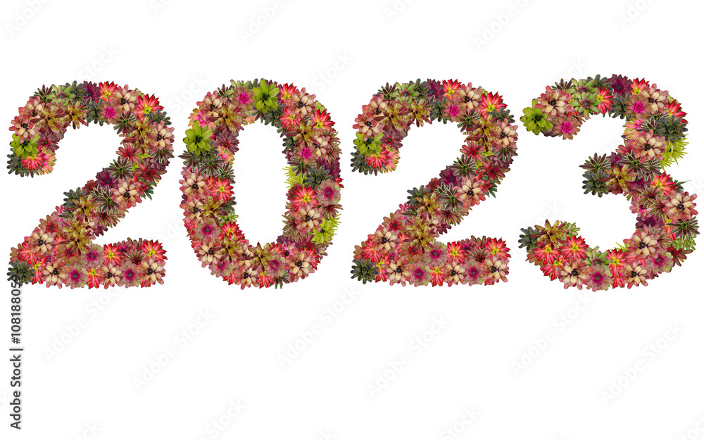 New year 2023 made from bromeliad flowers isolated on white back New year 2023 made from bromeliad flowers isolated on white back