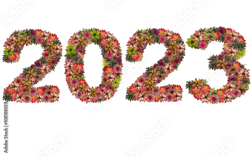 New year 2023 made from bromeliad flowers isolated on white back