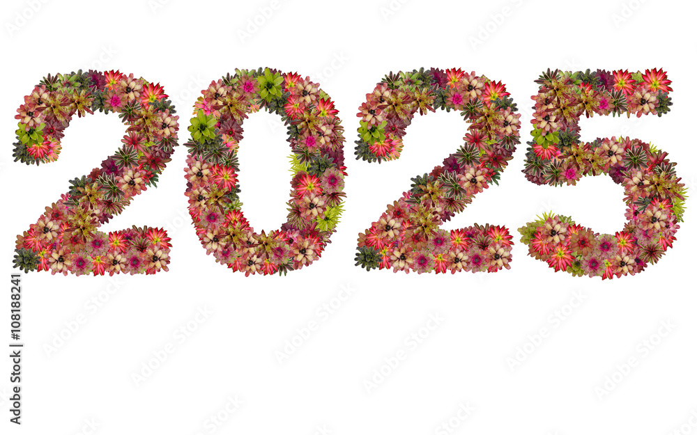 New year 2025 made from bromeliad flowers isolated on white back
