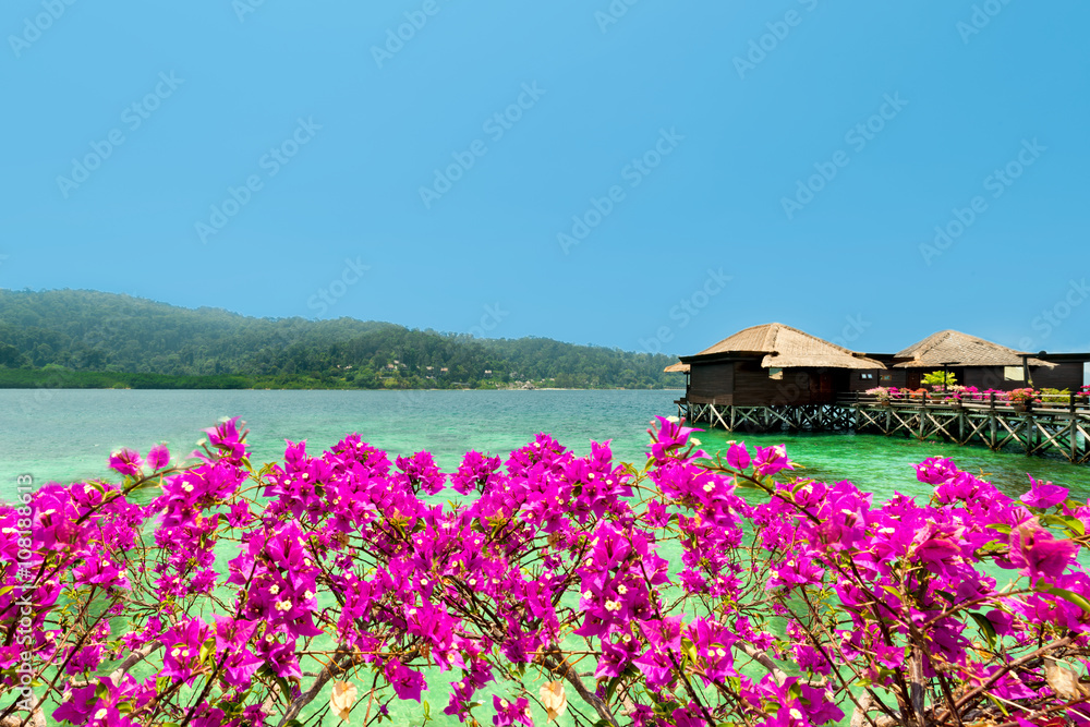 Beautiful view of overwater bungalows and bougainvillea in luxur Beautiful view of overwater bungalows and bougainvillea in luxur