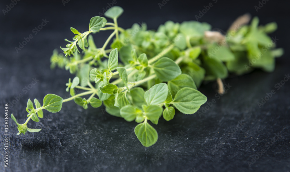 Fresh Oregano (on a slate slab) Fresh Oregano (on a slate slab)