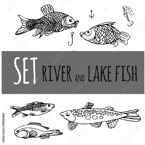 River and lake fish. Sketch pike,Chub, perch and head. The fishes ink and pen. Illustration stock vector. A monochrome image. Lines freehand.