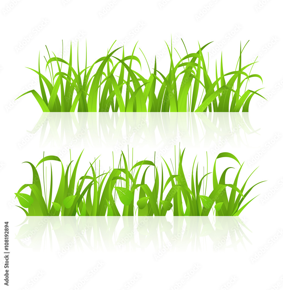 Naklejka premium green grass 43