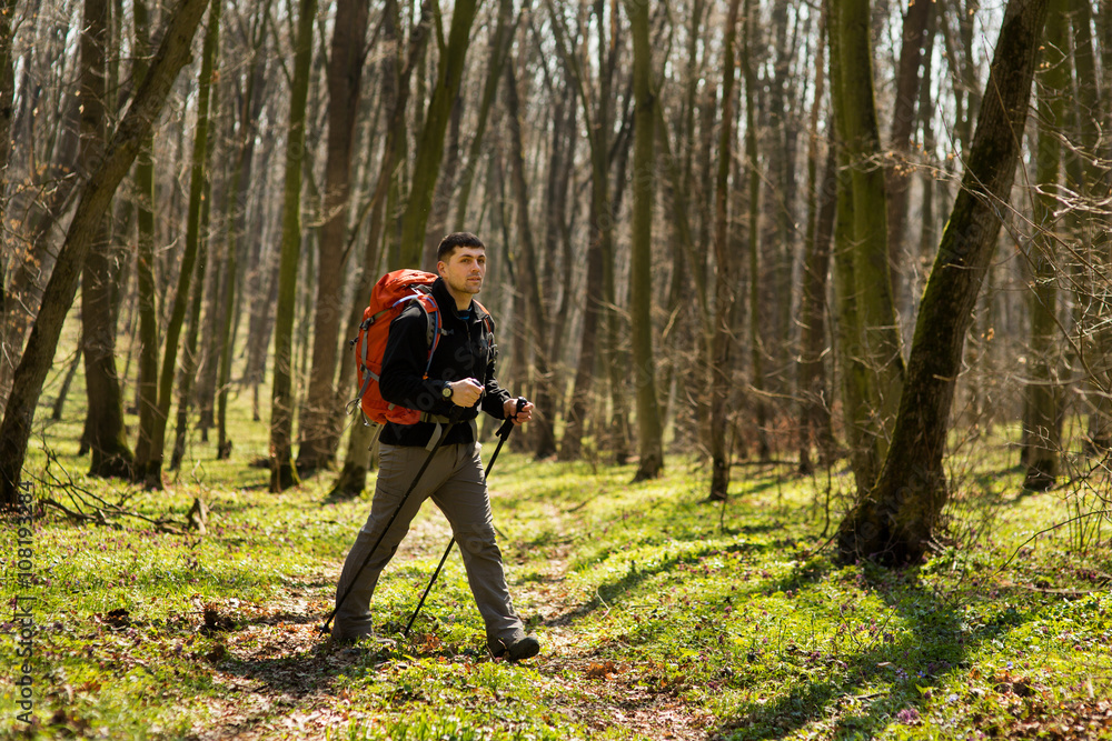 Active healthy man hiking in beautiful forest Active healthy man hiking in beautiful forest