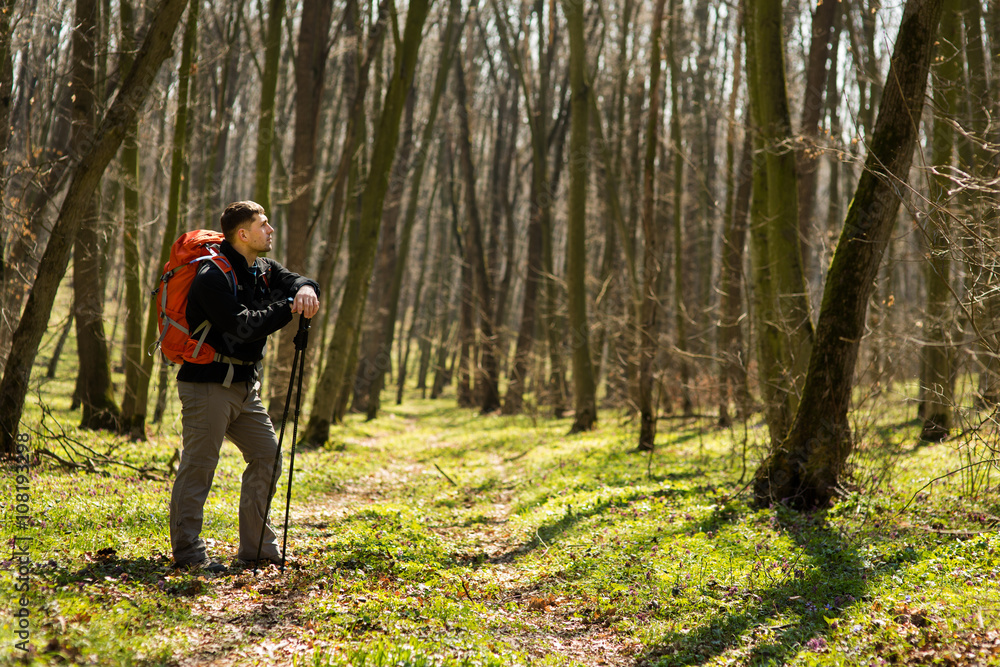 Active healthy man hiking in beautiful forest Active healthy man hiking in beautiful forest